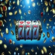 bigwin bet