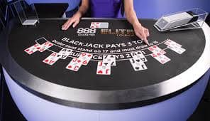 bigwin bet