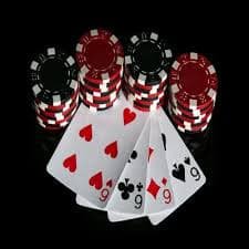 bigwin bet